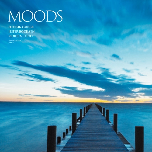 JESPER BODILSEN / イェスパー・ボディルセン / Moods（LP） / Moods (LP)