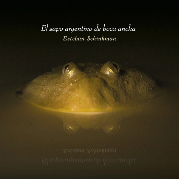 ESTEBAN SEHINKMAN / エステバン・セインクマン / EL SAPO ARGENTINO DE BOCA ANCHA