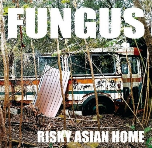FUNGUS / RISKY ASIAN HOME