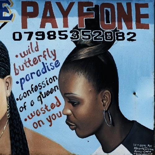 PAYFONE / WILD BUTTERFLY EP