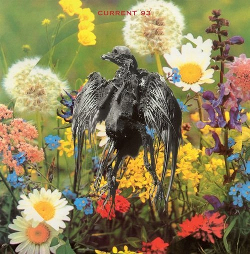 CURRENT 93 / カレント93 / SWASTIKAS FOR NODDY (PIC DISC)