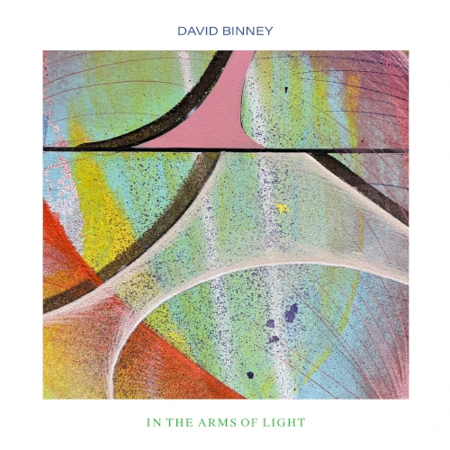 DAVID BINNEY / デヴィッド・ビニー / IN THE ARMS OF LIGHT