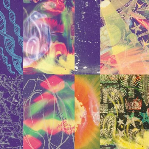 NAP EYES / ナップ・アイズ / THE NEON GATE (BLACK VINYL)