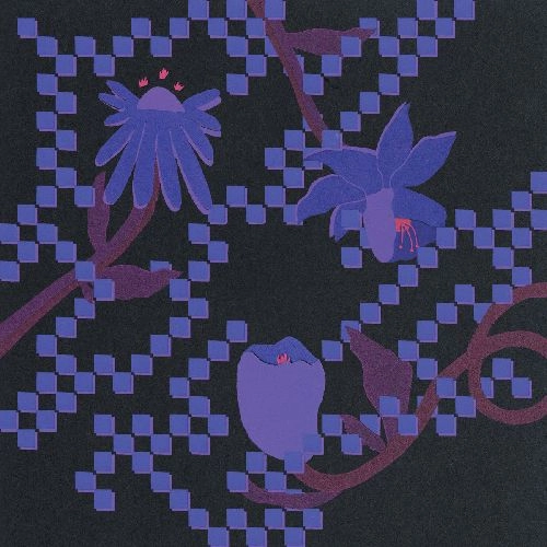 TRACE MOUNTAINS / トレース・マウンテンズ / INTO THE BURNING BLUE (LP-BLUE)