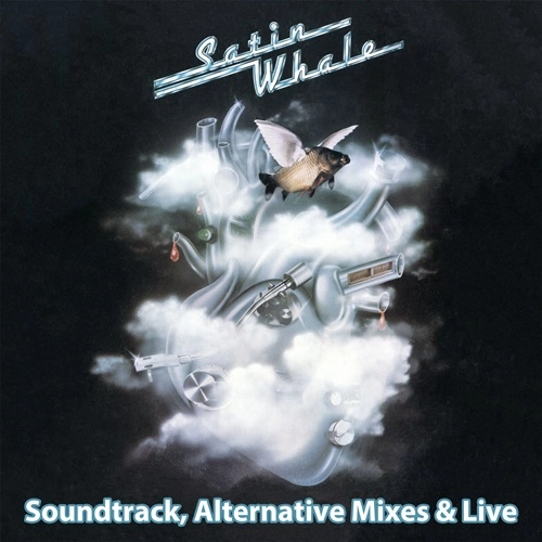 SATIN WHALE / サテンホエール / HISTORY BOX 2 - SOUNDTRACK, LIVE & ALTERNATIVE MIXES