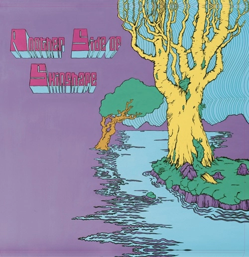 SKINSHAPE / スキンシェイプ / ANOTHER SIDE OF SKINSHAPE