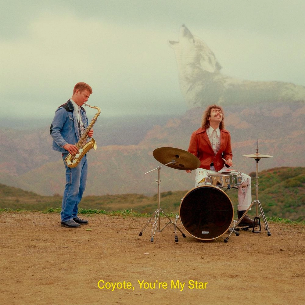 DANA AND ALDEN / デーナ・アンド・オールデン / COYOTE, YOU'RE MY STAR (LP - BLACK)