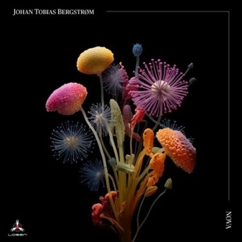 JOHAN TOBIAS BERGSTROM / ヨハン・トビアス・ベルグストーム / NOVA