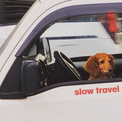 Big sloth / slow travel(CASSETTE)