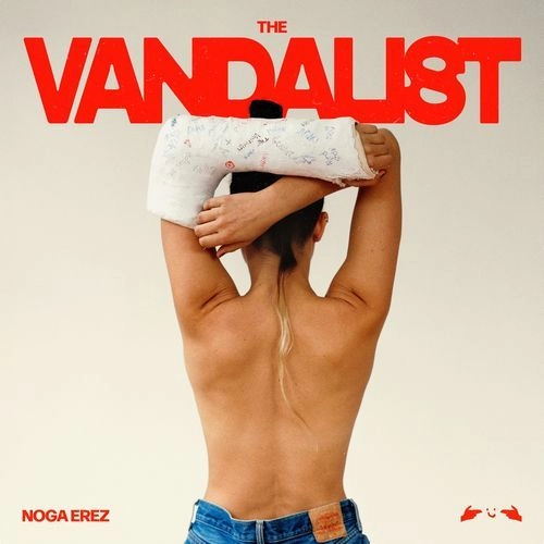 NOGA EREZ / ノガ・エレズ / THE VANDALIST [BLACK ICE VINYL]