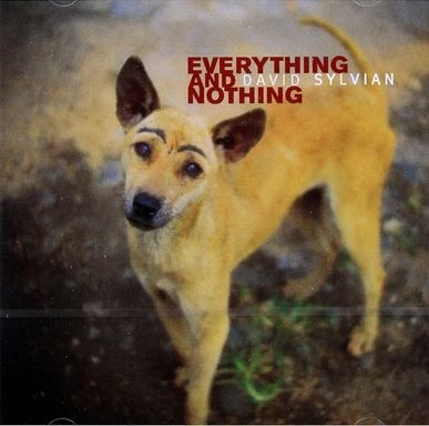 DAVID SYLVIAN / デヴィッド・シルヴィアン 商品一覧 | ディスク