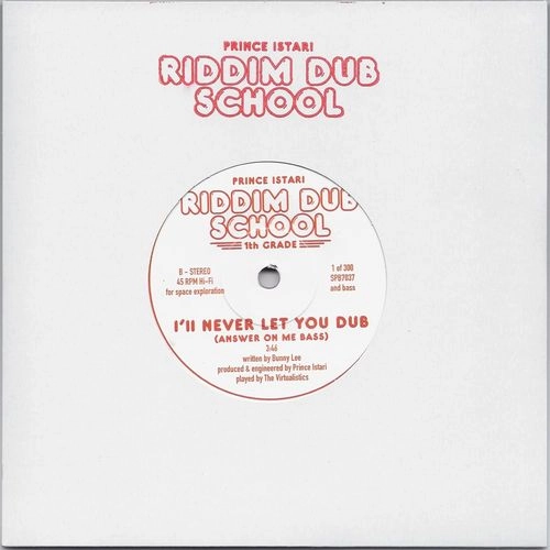 PRINCE ISTARIによる新感覚デジタル・ダブの人気シリーズ「RIDDIM DUB SCHOOL」が、全シリーズ再プレス!