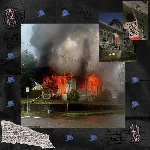 MOPE GROOVES / BOX OF DARK ROSES (2LP)