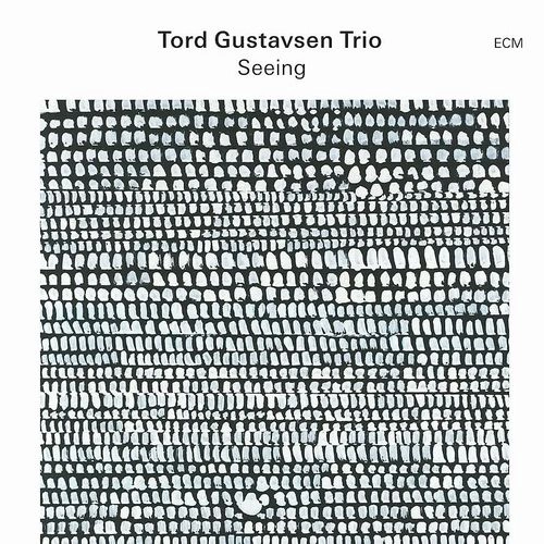 TORD GUSTAVSEN / トルド・グスタフセン / SEEING