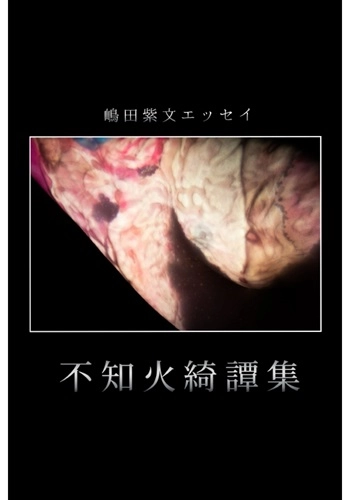 SHIMADA SHIMON / 嶋田紫文 / 不知火綺譚集