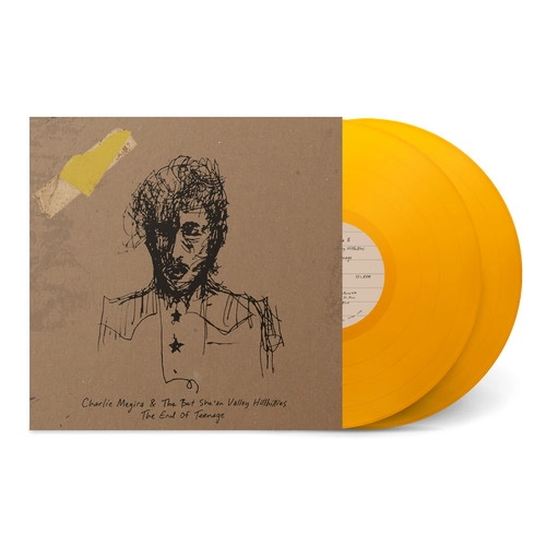 CHARLIE MEGIRA / チャーリー・メギラ / END OF TEENAGE (COLOR 2LP)