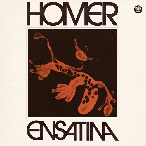 HOMER (SOUL) / ENSATINA