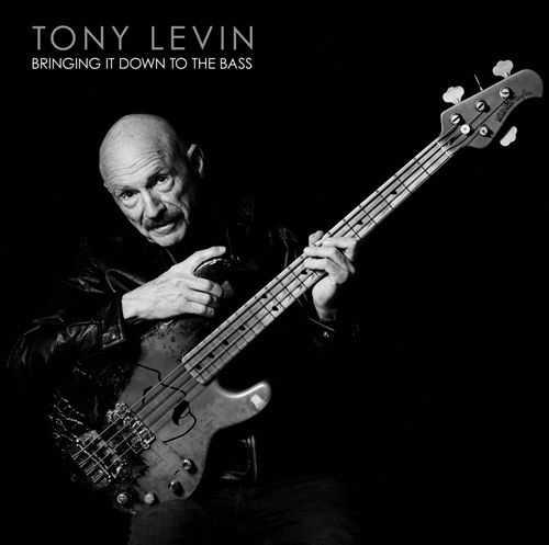 TONY LEVIN / トニー・レヴィン / BRINGING IT DOWN TO THE BASS
