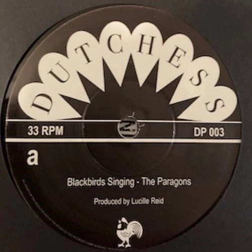 PARAGONS / パラゴンズ / BLACKBIRDS SINGING