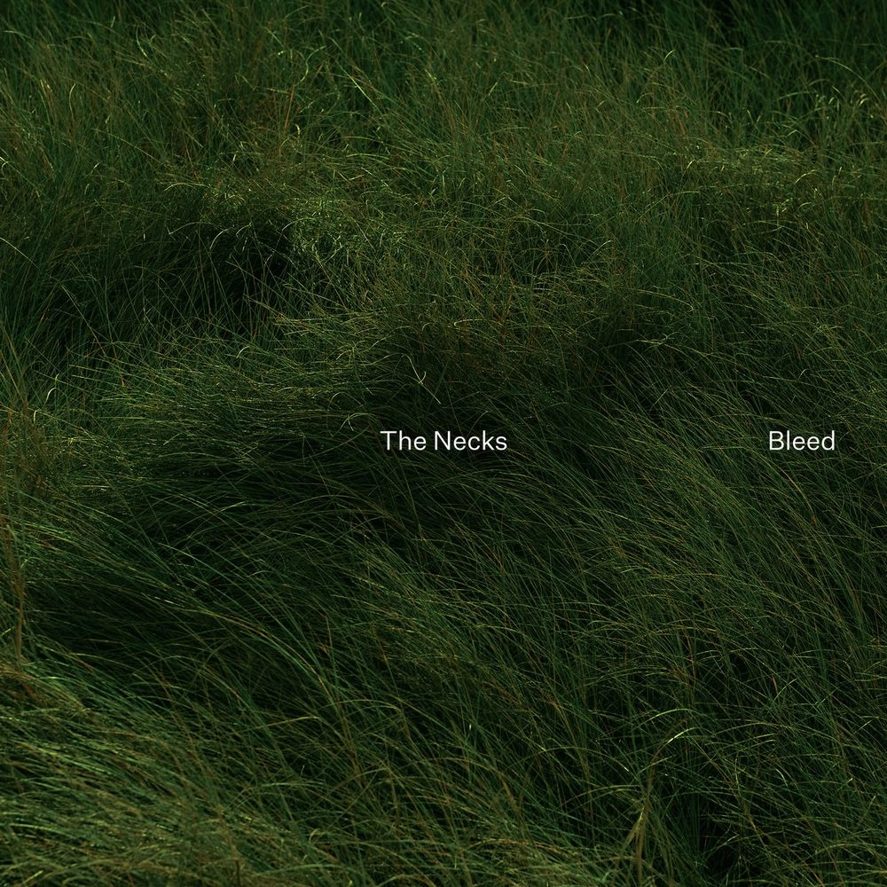 NECKS / ネックス / BLEED (LP - BLACK)