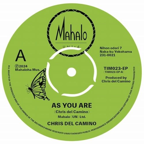 CHRIS DEL CAMINO / AS YOU ARE