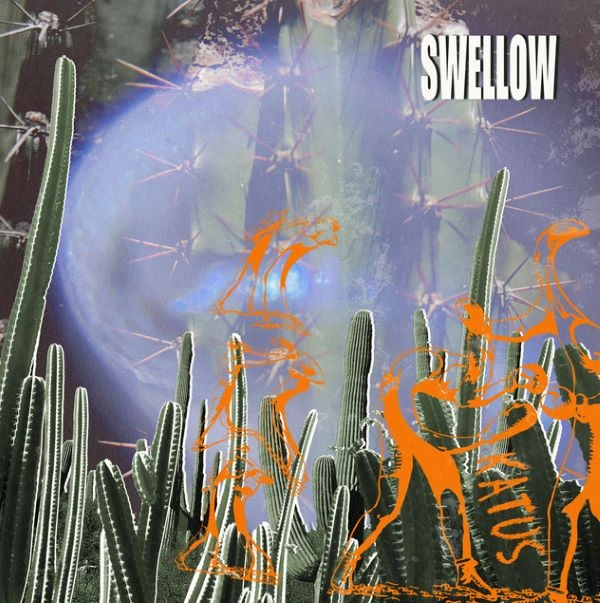 SWELLOW / スウェロウ / KATUS