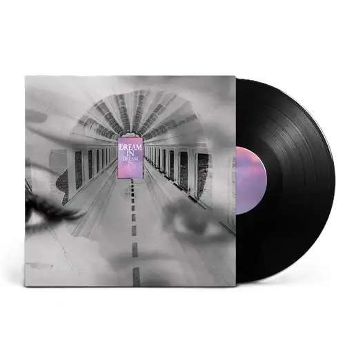 Cornelius / コーネリアス / Dream In Dream (LP)
