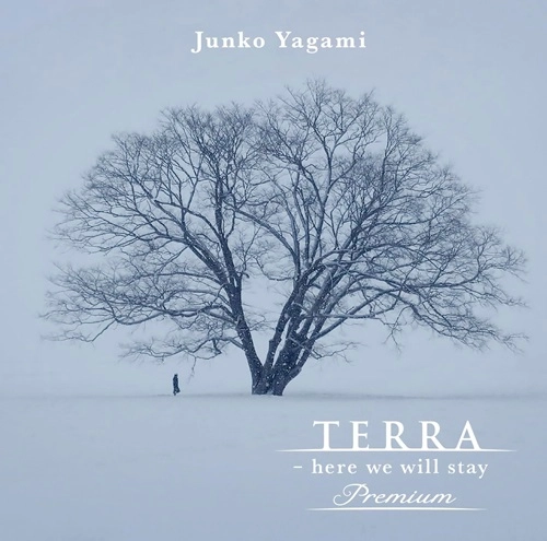 JUNKO YAGAMI / 八神純子 / "“TERRA - here we will stay"" premium"