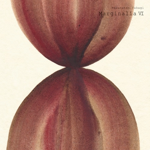 MASAKATSU TAKAGI / 高木正勝 / マージナリア Ⅵ（LP） / MARGINALIA 6