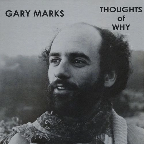 GARY MARKS / ゲイリー・マークス / ソウツ・オブ・ワイ(LP) / THOUGHTS OF WHY