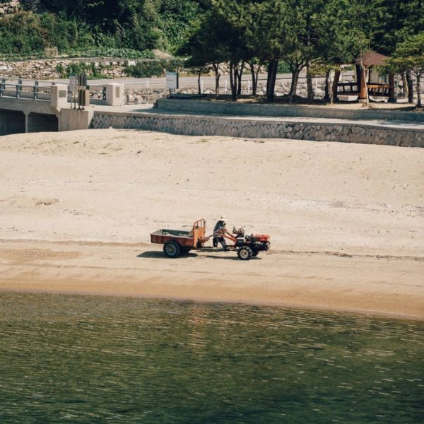 KWON WOL / クウォン・ウォル / AT SILVERSAND BEACH (SUMMER)