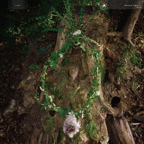 PHARMAKON / ファーマコン / MAGGOT MASS