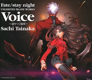 SACHI TAINAKA / タイナカサチ / VOICE～辿りつく場所～/DISILLUSION-2010-