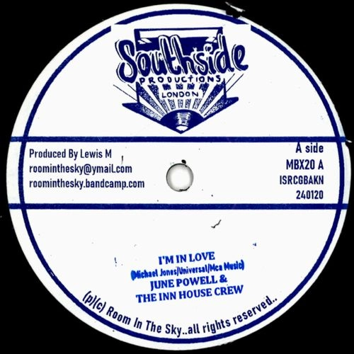 JUNE POWELL & THE RITS RIDDIM FORCE / I'M IN LOVE