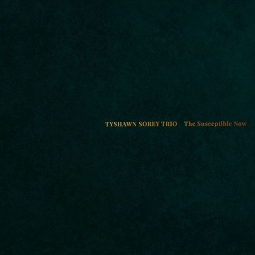 TYSHAWN SOREY / タイショーン・ソーリー / SUSCEPTIBLE NOW