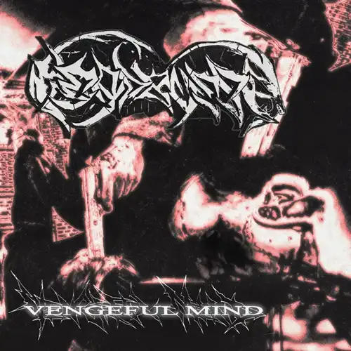 HEADBUSSA / VENGEFUL MIND