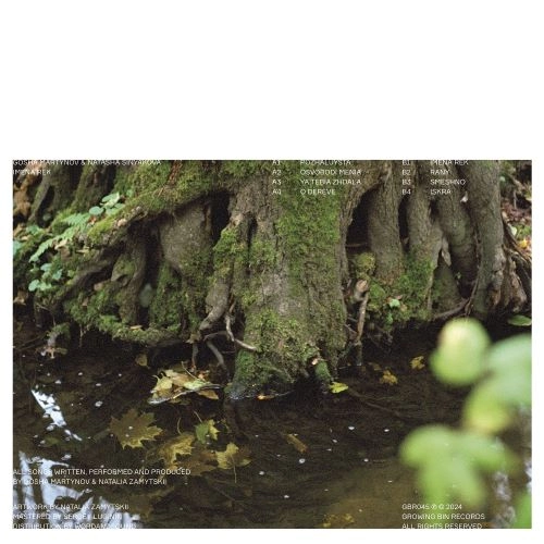 GOSHA MARTYNOV & NATASHA SINYAKOVA / IMENA REK (LP)