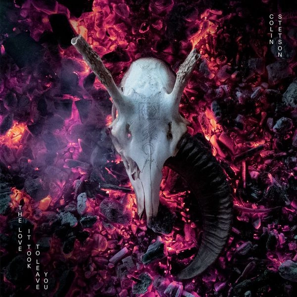 COLIN STETSON / コリン・ステットソン / THE LOVE IT TOOK TO LEAVE YOU (CD) / THE LOVE IT TOOK TO LEAVE YOU