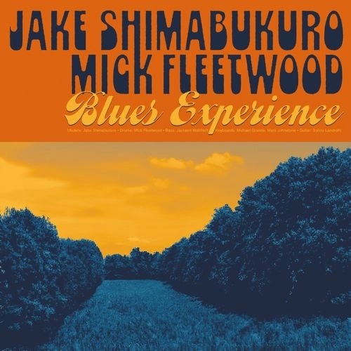 JAKE SHIMABUKURO & MICK FLEETWOOD / ジェイク・シマブクロ & ミック・フリートウッド / ブルース･エクスペリエンス