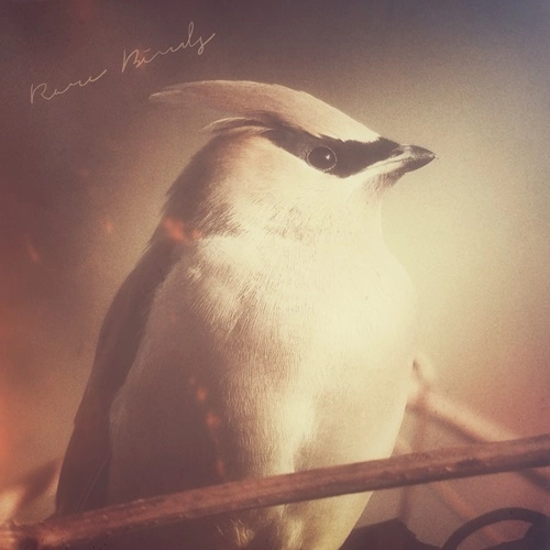 Ben Sadock & Uwanosora / Rare Birds