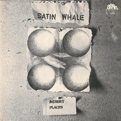 SATIN WHALE / サテンホエール / DESERT PLACES - LTD.100 SILVER VINYL
