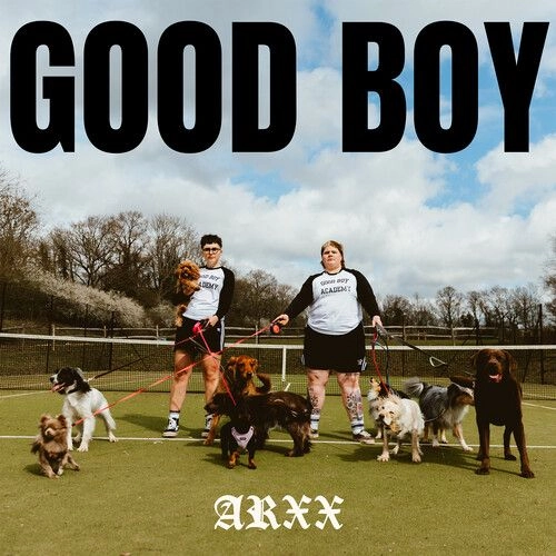 ARXX / アルクス / GOOD BOY (LP - CLEAR)