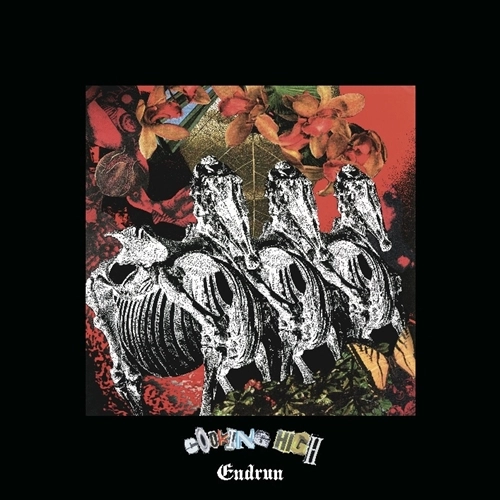 ENDRUN / COOKING HIGH