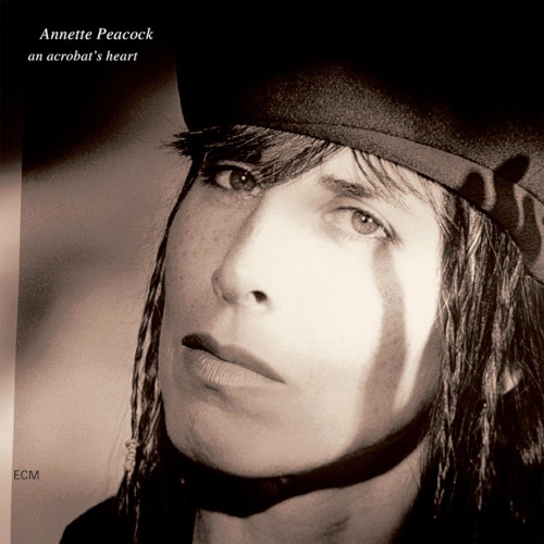 ANNETTE PEACOCK / アネット・ピーコック / AN ACROBAT'S HEART (LP)