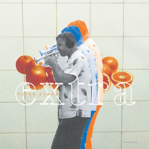 PETER EVANS / ピーター・エヴァンス / EXTRA (LP)