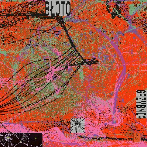 BLOTO / ブウォト / GRZYBNIA (LP)
