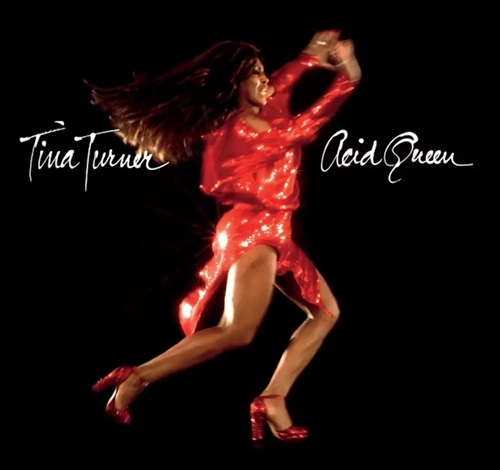 TINA TURNER / ティナ・ターナー / ACID QUEEN