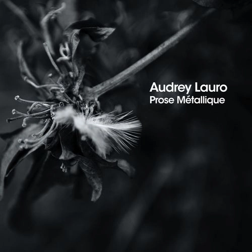AUDREY LAURO / PROSE METALLIQUE