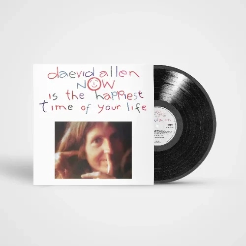 DAEVID ALLEN / デイヴッド・アレン / NOW IS THE HAPPIEST TIME OF YOUR LIFE: LIMITED VINYL