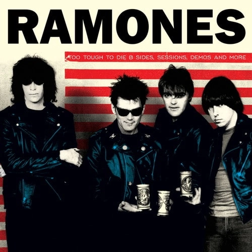 RAMONES / ラモーンズ / TOO TOUGH TO DIE B SIDES, SESSIONS DEMOS AND MORE (LP)